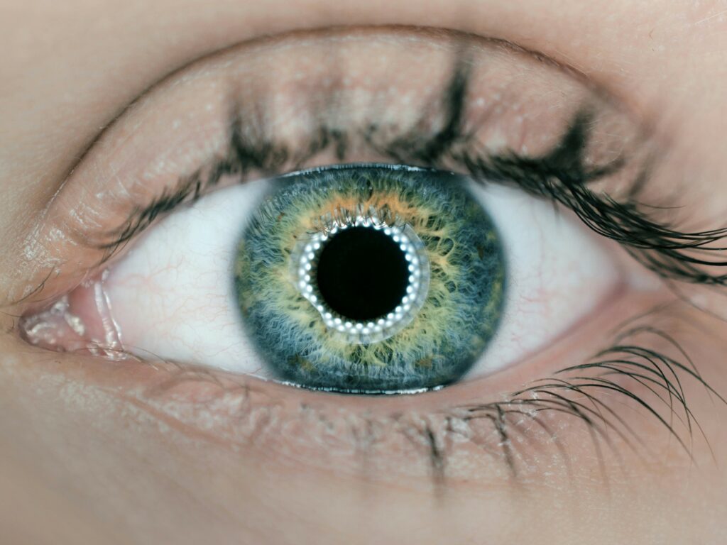 Soundhound đang mang lại cho AI của mình sức mạnh của tầm nhìn