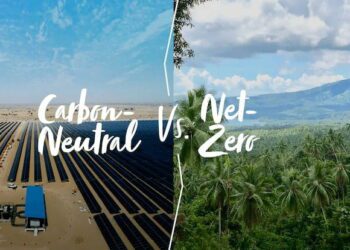 What does net zero carbon mean?