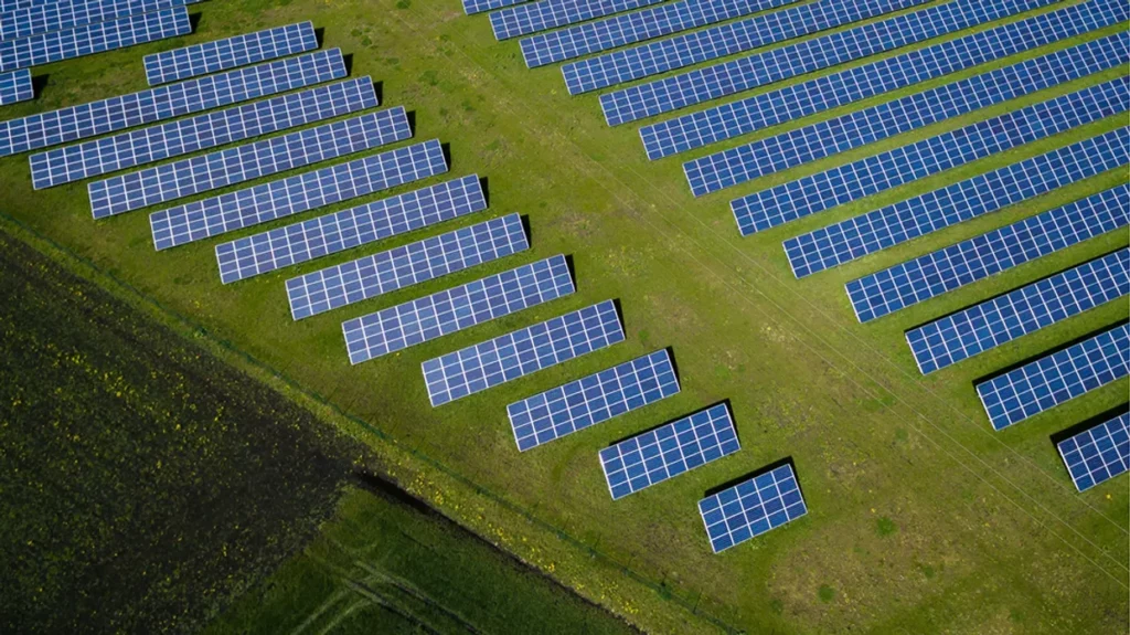 Chiến lược Net zero: Những điều doanh nghiệp cần biết